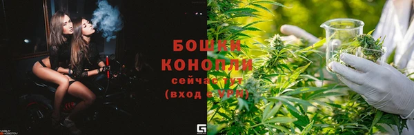 apvp Нея