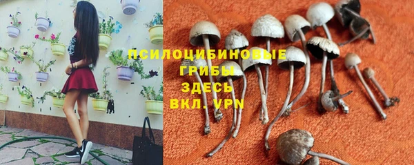 гидра Нефтекумск