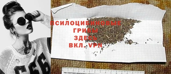 apvp Нея