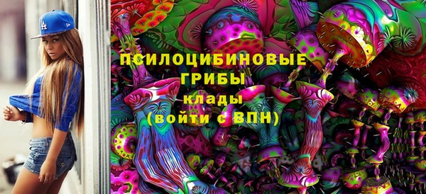 СК Нефтегорск