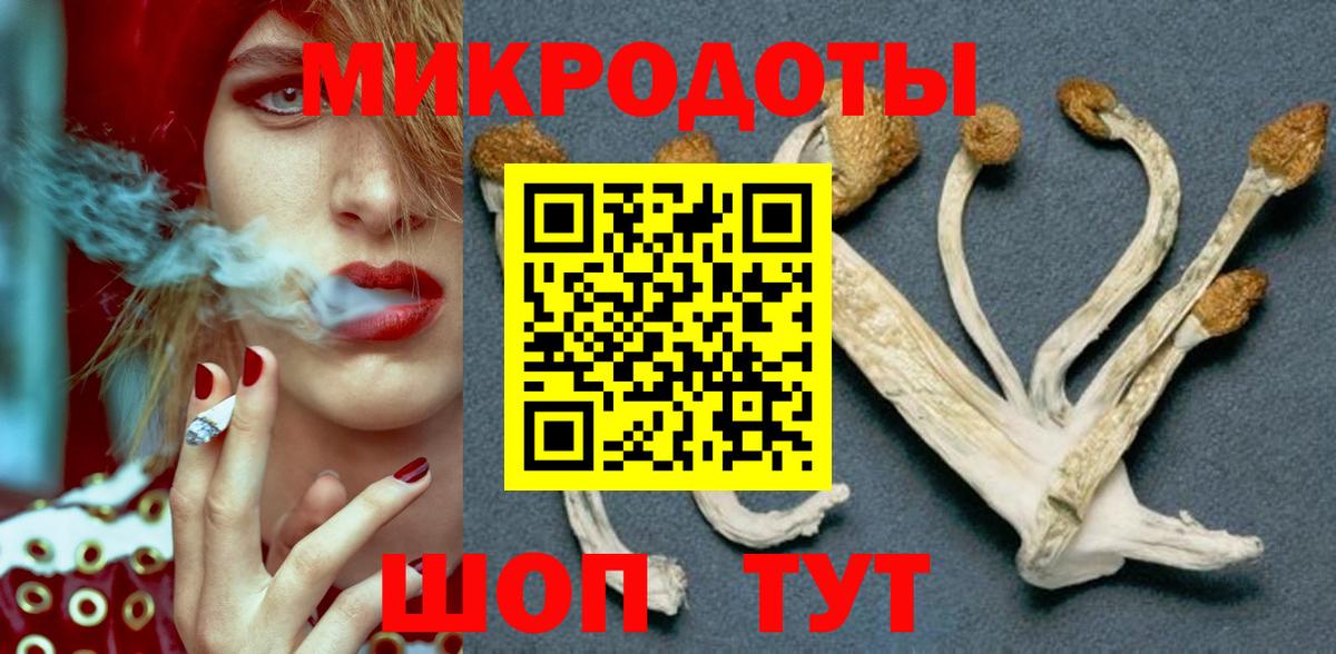 Черногорск  Псилоцибиновые грибы прущие грибы  Вход с VPN 